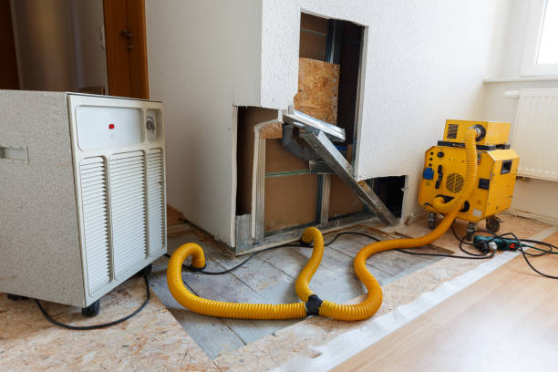 Best Real Estate Mold Inspection  in Millville, UT
