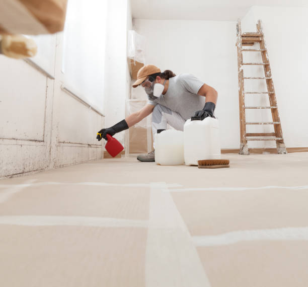 Best Mold Remediation for Healthcare Facilities  in Millville, UT